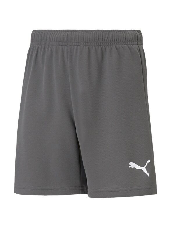 Puma teamRISE Short Jr vaikiški šortai, pilki 704943 13 Puma teamRISE Short Jr vaikiški šortai, pilki 704943 13