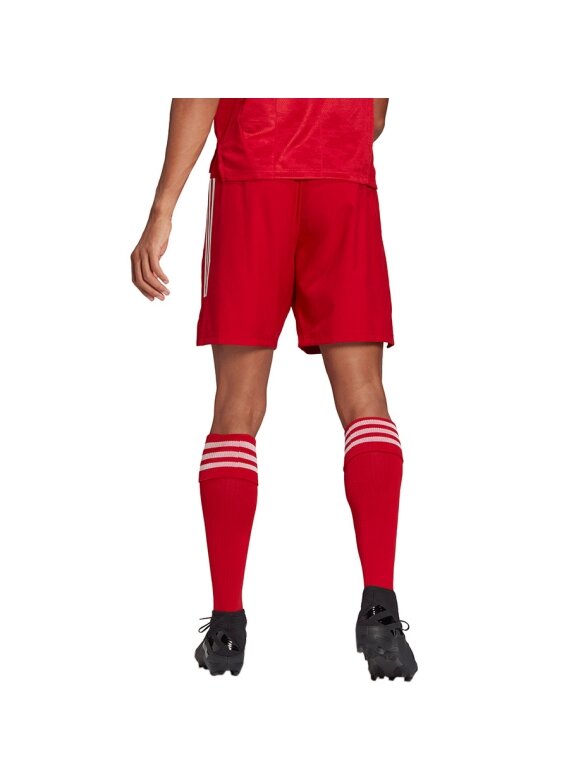 Vyriški šortai adidas Condivo 21 Primeblue šortai raudoni GJ6810 2