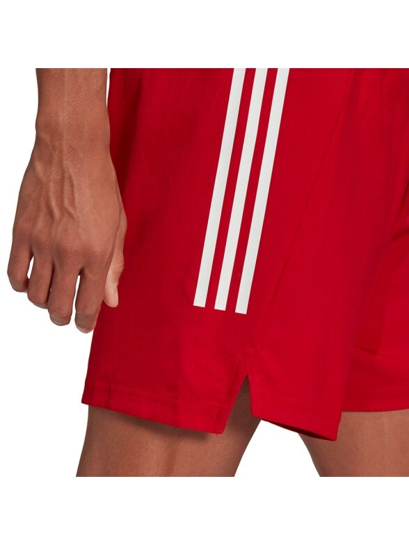 Vyriški šortai adidas Condivo 21 Primeblue šortai raudoni GJ6810 4