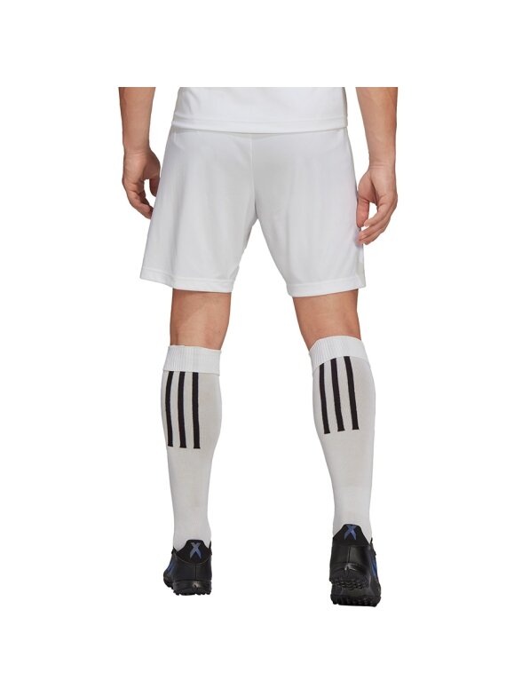 Vyriški šortai Adidas Entrada 22 balti HG6295 4