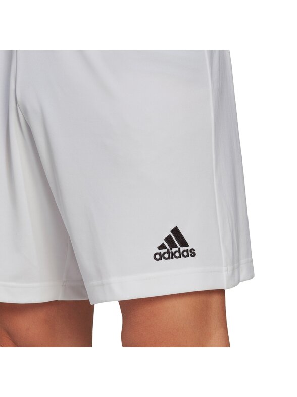 Vyriški šortai Adidas Entrada 22 balti HG6295 6