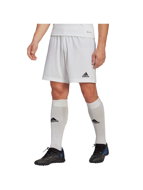 Vyriški šortai Adidas Entrada 22 balti HG6295