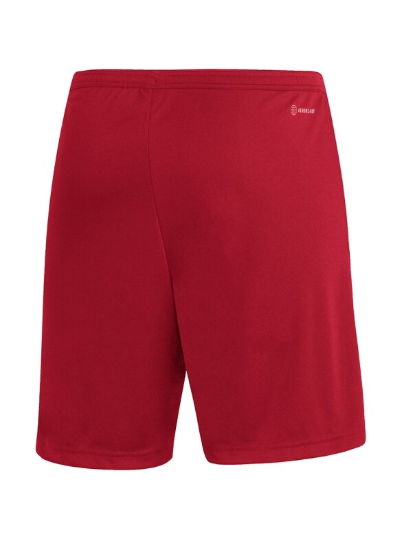 Vyriški šortai adidas Entrada 22 raudoni H61735 2