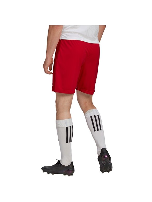 Vyriški šortai adidas Entrada 22 raudoni H61735 4