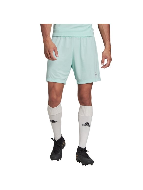 Vyriški šortai adidas Entrada 22 mint HC5051 1 Vyriški šortai adidas Entrada 22 mint HC5051 1