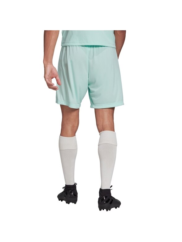 Vyriški šortai adidas Entrada 22 mint HC5051 3 Vyriški šortai adidas Entrada 22 mint HC5051 3
