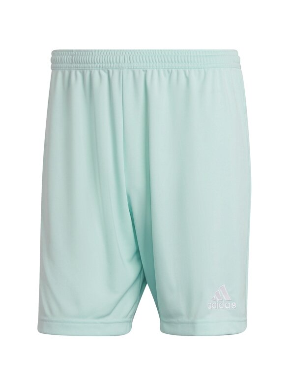 Vyriški šortai adidas Entrada 22 mint HC5051