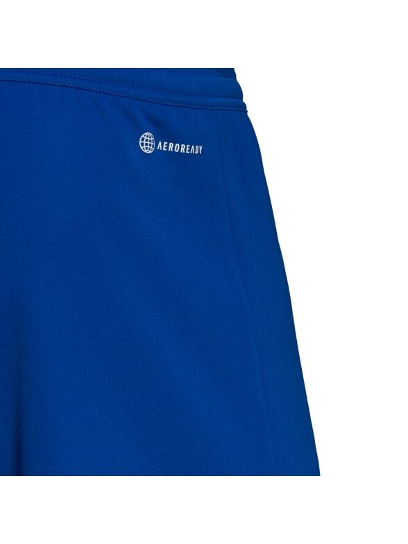 Vyriški šortai Adidas Entrada 22 mėlyni HG6294 3