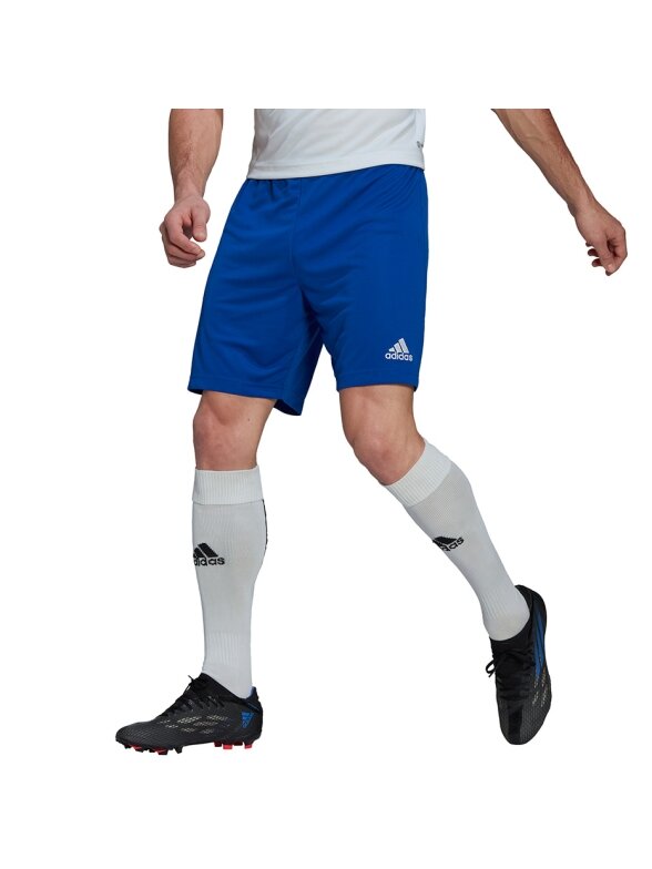 Vyriški šortai Adidas Entrada 22 mėlyni HG6294