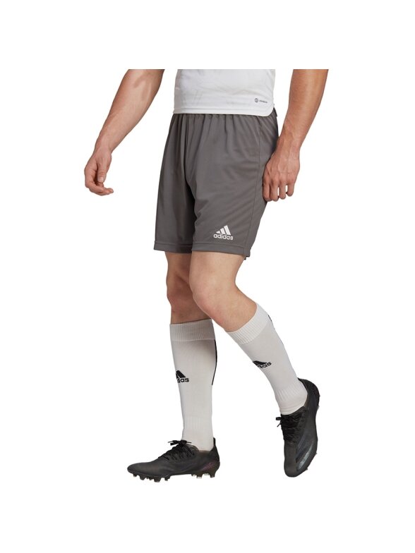 Vyriški šortai Adidas Entrada 22 pilki H57505