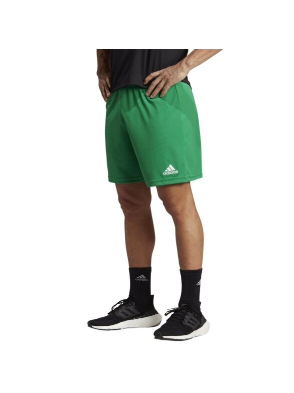 Adidas Entrada 22 vyriški šortai žalios spalvos IC7405 Adidas Entrada 22 vyriški šortai žalios spalvos IC7405