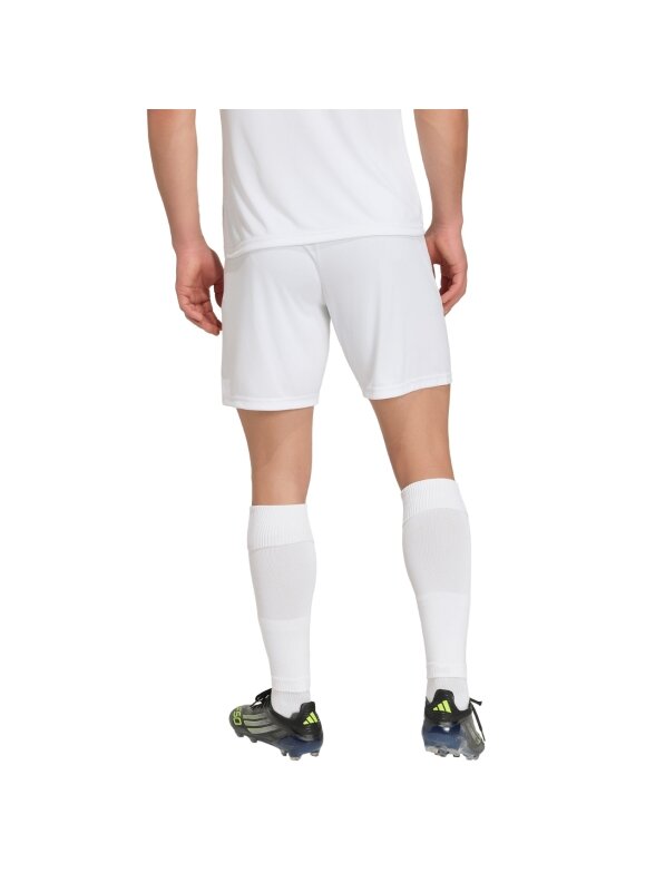 adidas Entrada 26 vyriški šortai balti JZ2516 2