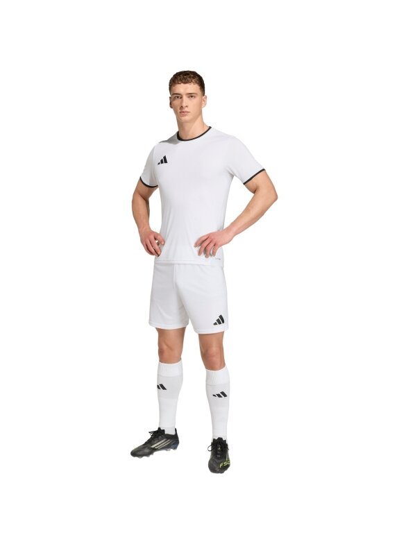 adidas Entrada 26 vyriški šortai balti JZ2516 5
