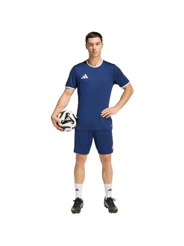 Adidas Entrada 26 vyrams tamsiai mėlyni šortai JZ2513 6