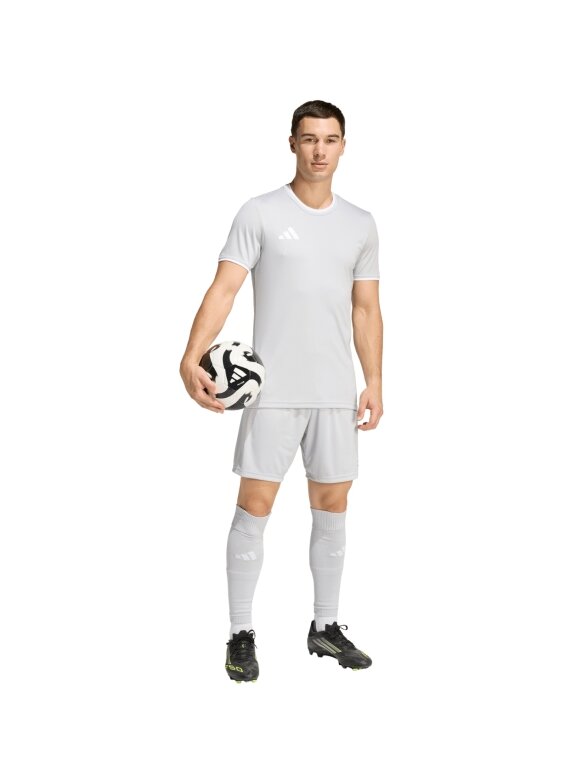 Adidas Entrada 26 vyriški šortai pilki JZ2515 6