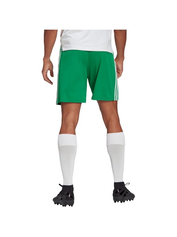 Adidas Squadra 21 Jersey vyriški šortai, žali GN5769 3