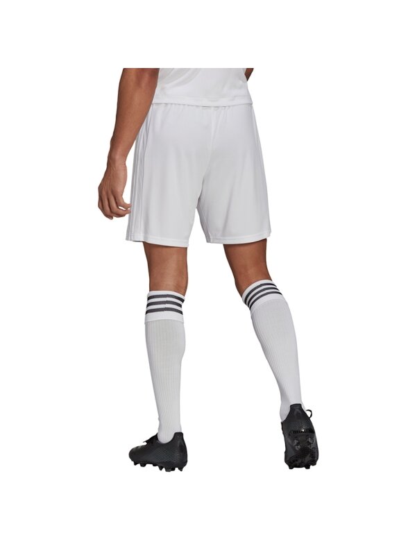 Adidas Squadra 21 Trumpi vyriški šortai, balti GN5774 3 Adidas Squadra 21 Trumpi vyriški šortai, balti GN5774 3