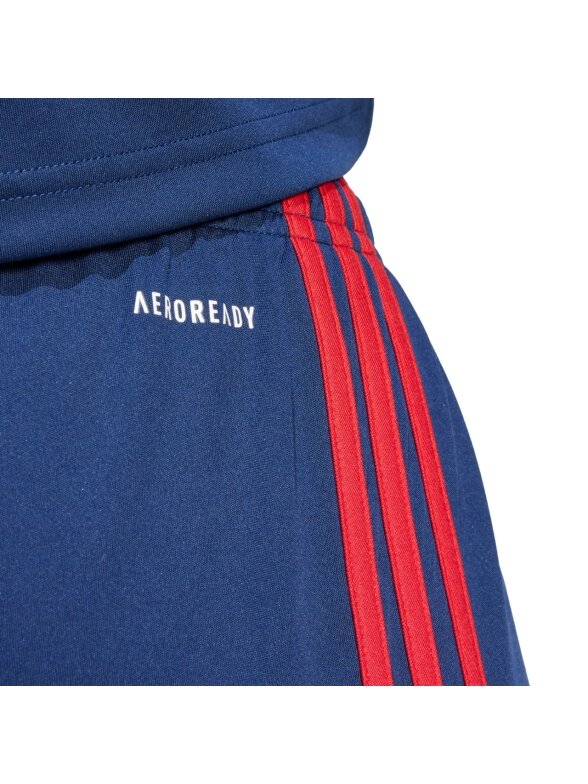 Adidas Squadra 25 vyriški šortai mėlyni-raudoni JH3408 4