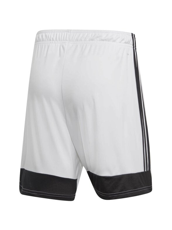 Vyriški šortai adidas Tastigo 19 Šortai balti DP3247 4