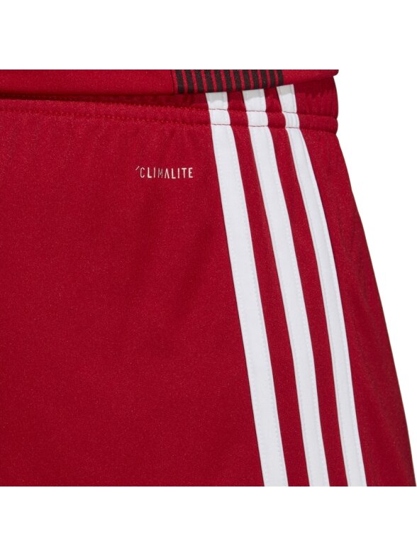 Vyriški šortai adidas Tastigo 19 šortai raudoni DP3681 1 Vyriški šortai adidas Tastigo 19 šortai raudoni DP3681 1