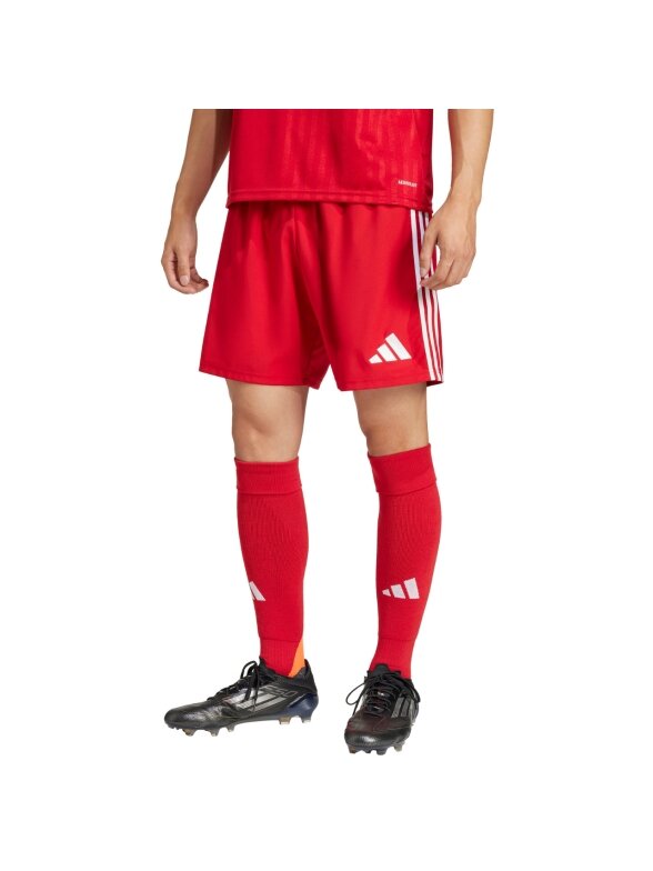 Adidas Tastigo 25 vyrams raudoni šortai JN7157 Adidas Tastigo 25 vyrams raudoni šortai JN7157