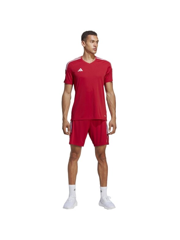 Adidas Tiro 23 League vyriški šortai raudoni IB8082 4 Adidas Tiro 23 League vyriški šortai raudoni IB8082 4