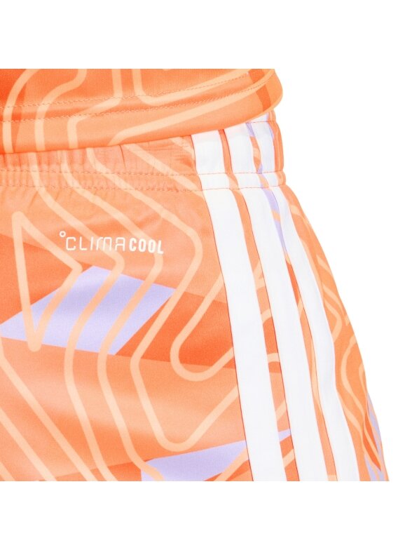 Vyriški šortai adidas Tiro 26 Competition Goalkeeper oranžiniai KC5345 4