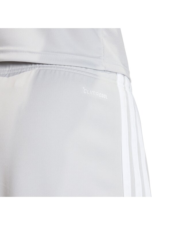 Adidas vyriški šortai Tiro 26 League pilki KA8781 4