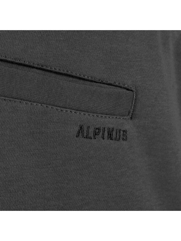 Alpinus Bajadilla vyriški šortai, pilki SI18149 3