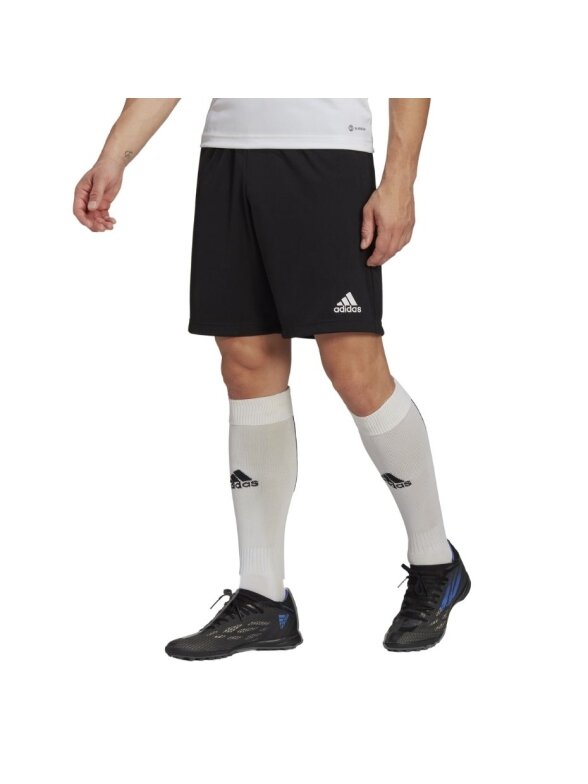 Vyriški treniruočių šortai adidas Entrada 22 juodi HB0575