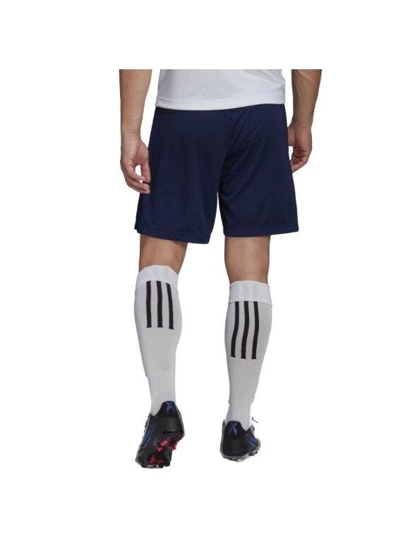 Adidas Entrada 22 vyriški treniruočių šortai, tamsiai mėlyni H57488 3
