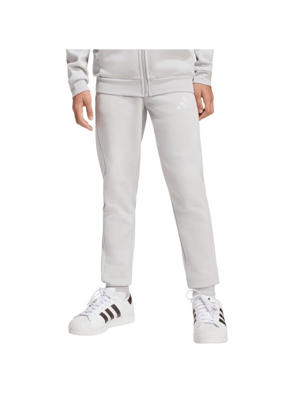 Adidas Entrada 26 Sweat Pants vaikams pilkos kelnės JZ9137