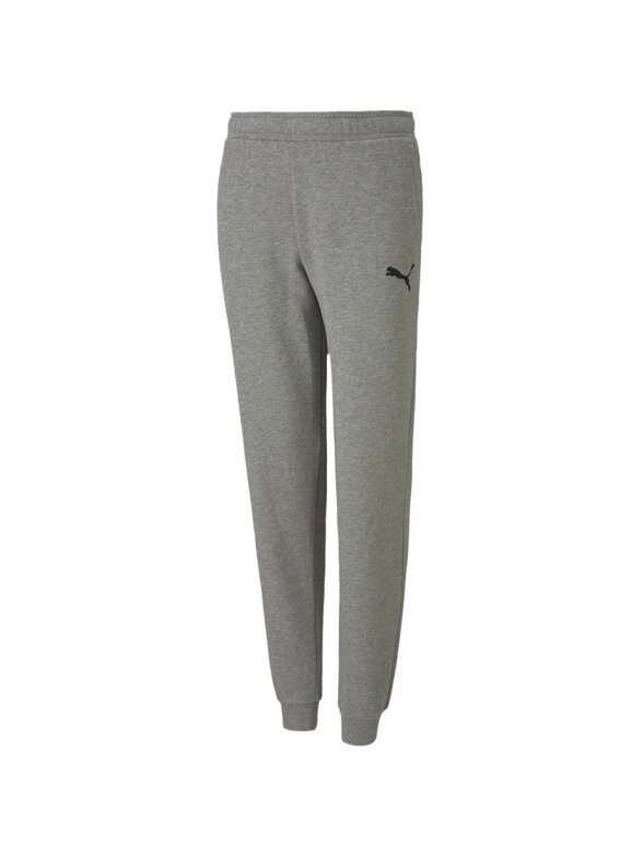 Vaikiškos kelnės Puma teamGOAL 23 Casuals Pants Jr pilkos spalvos 656713 33