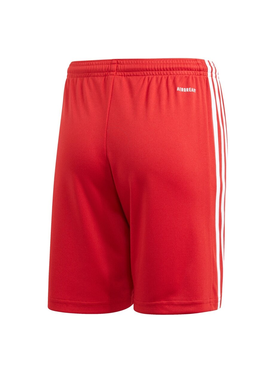 Adidas Squadra 21 Short Youth vaikiški šortai, raudoni GN5761 1 Adidas Squadra 21 Short Youth vaikiški šortai, raudoni GN5761 1