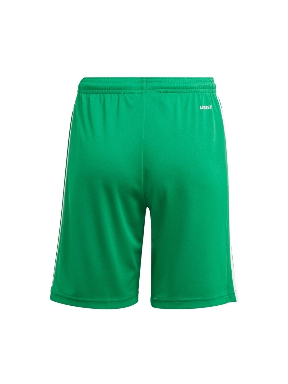 Adidas Squadra 21 Short Youth vaikiški šortai, žalios spalvos GN5762 1