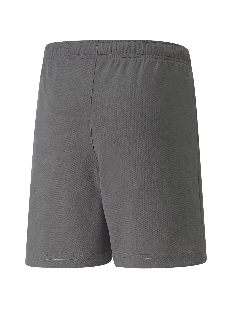 Puma teamRISE Short Jr vaikiški šortai, pilki 704943 13 1