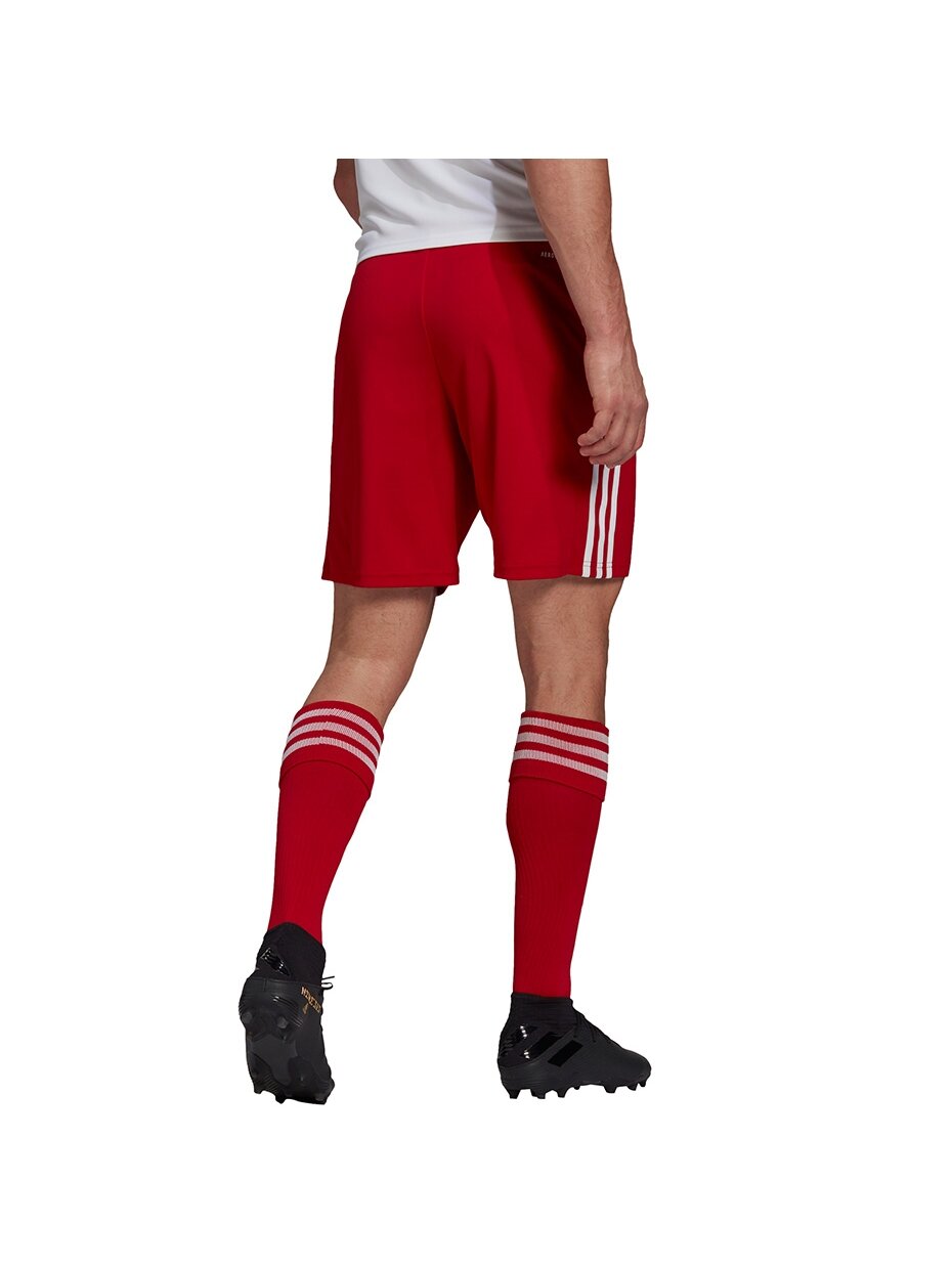 Adidas raudoni vyriški šortai Squadra 21 Shorts GN5771 3 Adidas raudoni vyriški šortai Squadra 21 Shorts GN5771 3