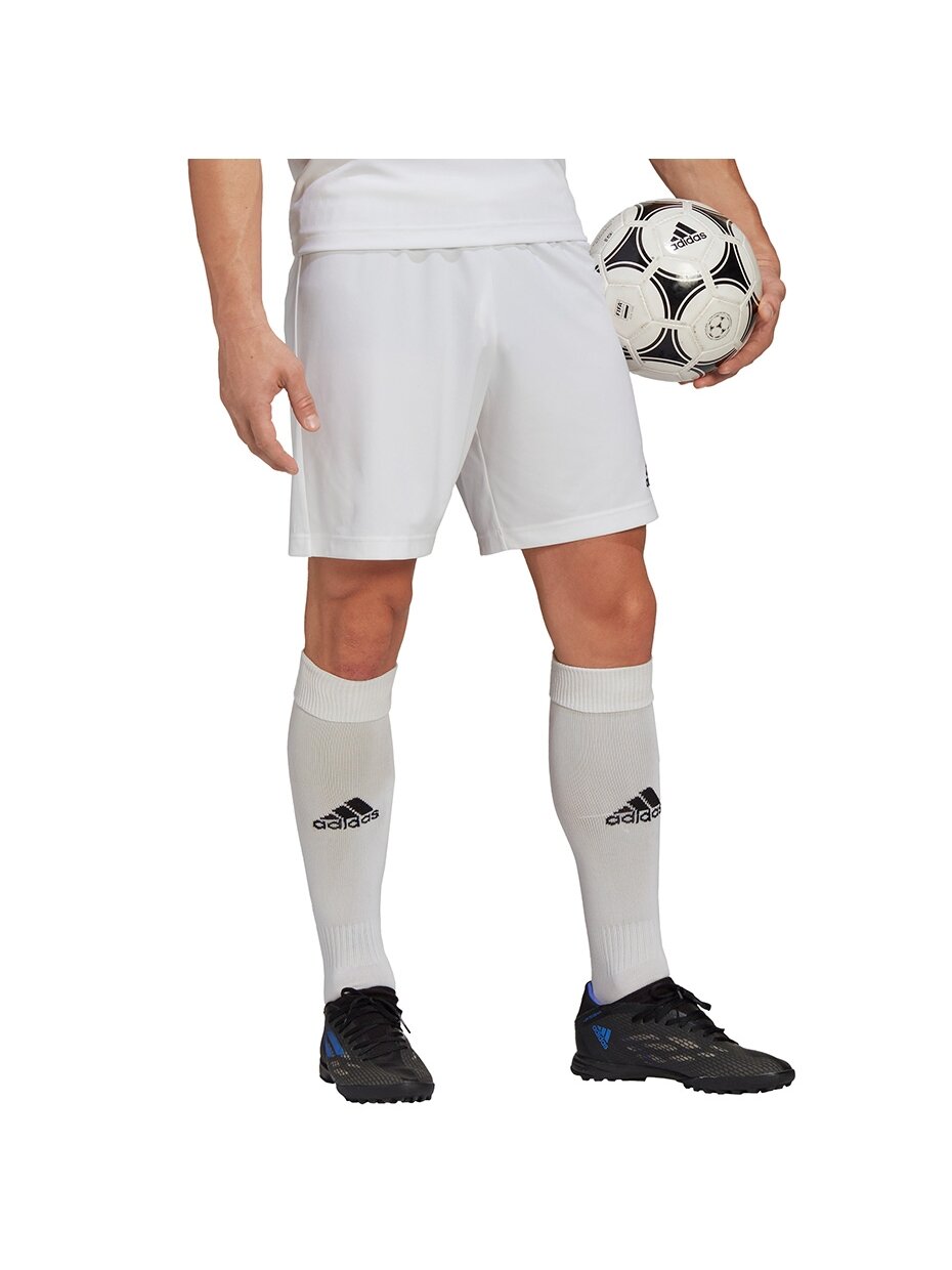 Vyriški šortai Adidas Entrada 22 balti HG6295 3 Vyriški šortai Adidas Entrada 22 balti HG6295 3