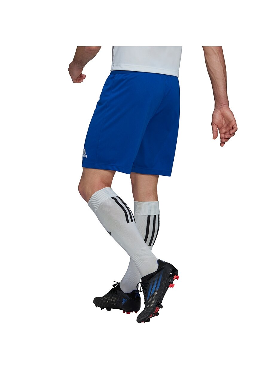 Vyriški šortai Adidas Entrada 22 mėlyni HG6294 6