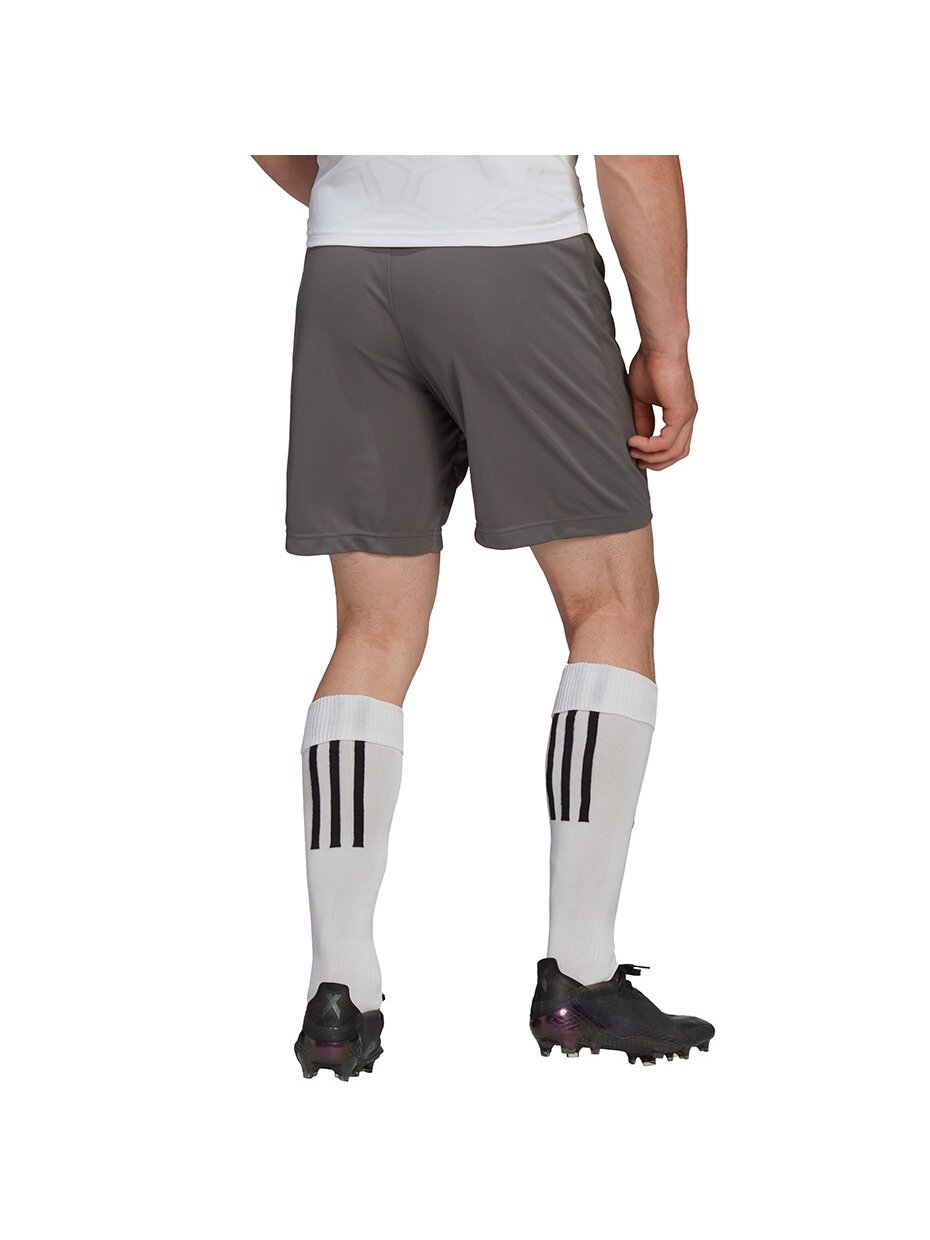 Vyriški šortai Adidas Entrada 22 pilki H57505 4