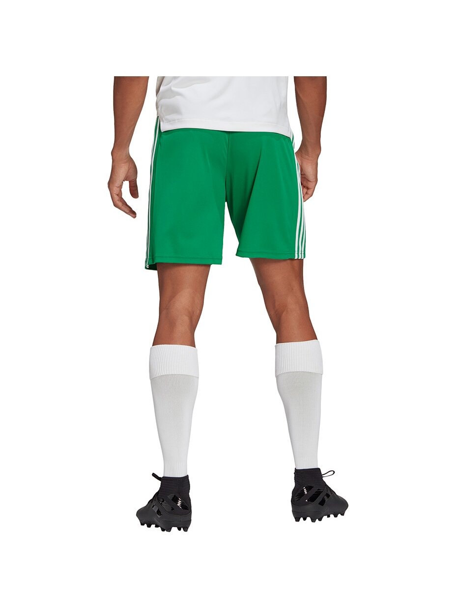 Adidas Squadra 21 Jersey vyriški šortai, žali GN5769 3