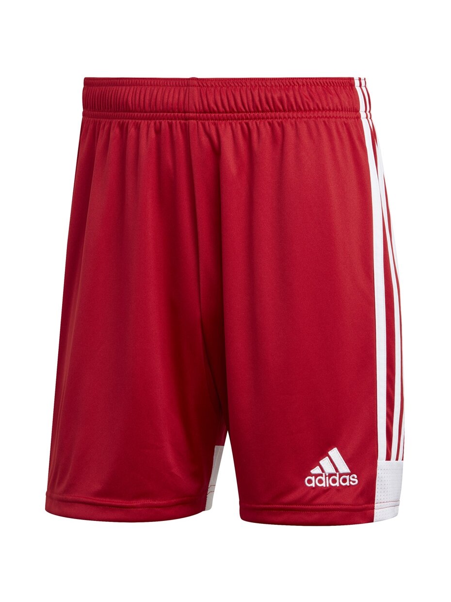 Vyriški šortai adidas Tastigo 19 šortai raudoni DP3681