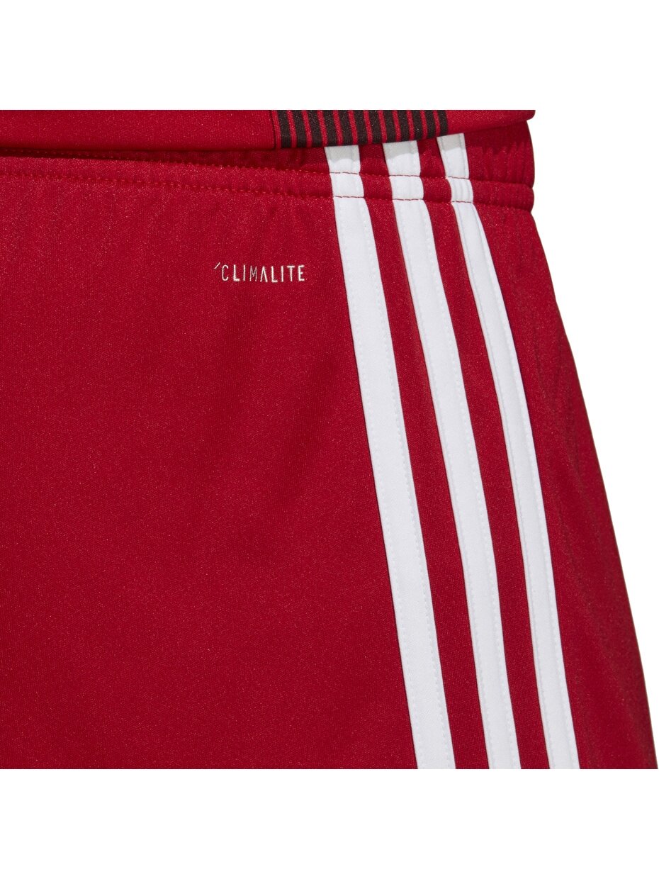 Vyriški šortai adidas Tastigo 19 šortai raudoni DP3681 1