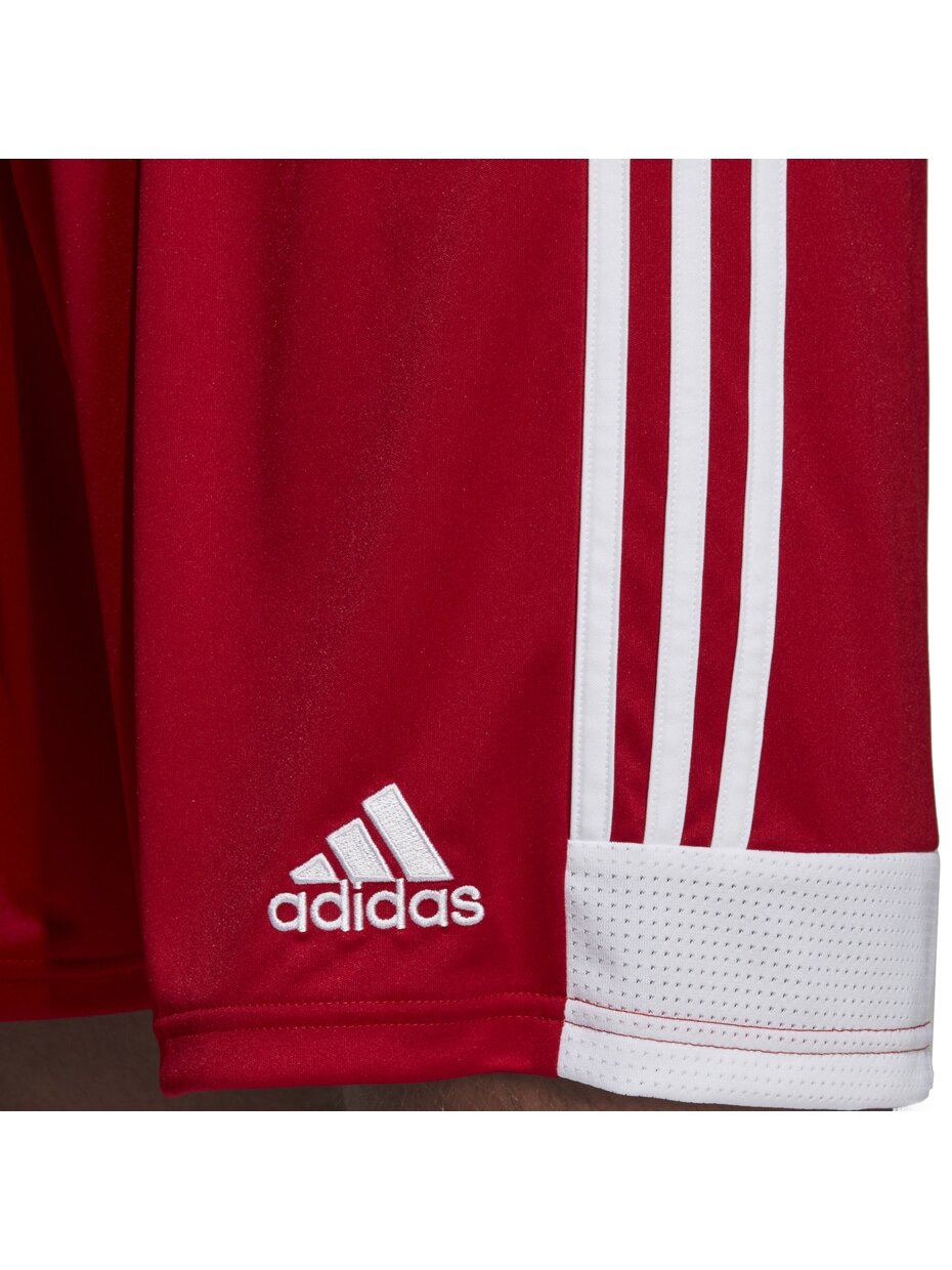Vyriški šortai adidas Tastigo 19 šortai raudoni DP3681 2 Vyriški šortai adidas Tastigo 19 šortai raudoni DP3681 2