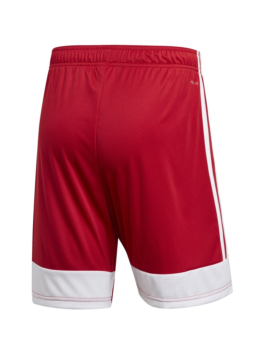 Vyriški šortai adidas Tastigo 19 šortai raudoni DP3681 4