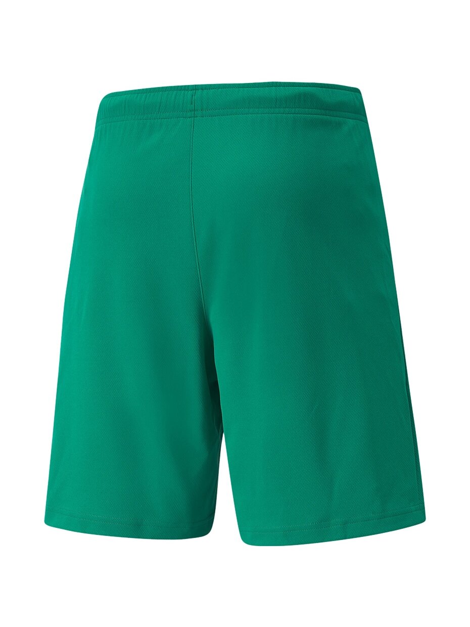 Puma teamRISE Trumpi vyriški šortai žali 704942 05 1 Puma teamRISE Trumpi vyriški šortai žali 704942 05 1