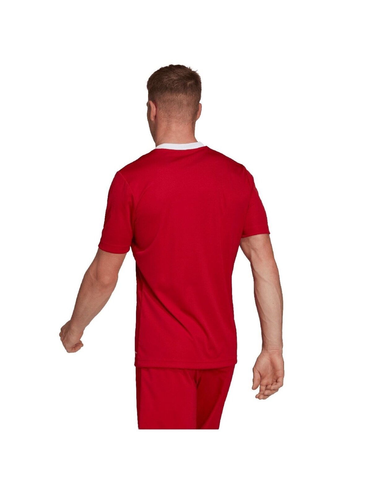 Vyriški marškinėliai Adidas Entrada 22 Jersey red H61736 5