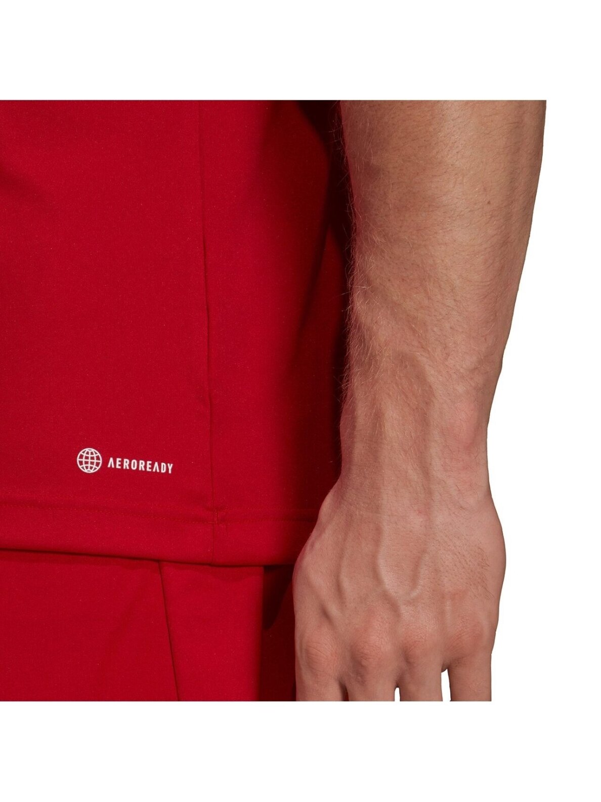 Vyriški marškinėliai Adidas Entrada 22 Jersey red H61736 6