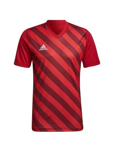 Vyriški marškinėliai Adidas Entrada 22 Graphic Jersey raudonos ir bordo spalvos HB0572