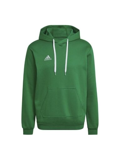 Vyriški džemperiai Adidas Entrada 22 Sweat Hoodie žalia HI2141